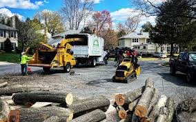 Best Firewood Processing and Delivery  in Rancho Palos Verdes, CA